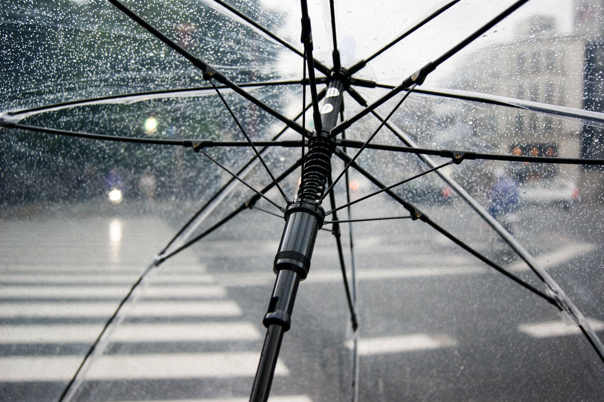 umbrella3